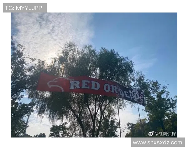 上海上港迎战石家庄永昌罗穆洛能否助力球队取得胜利