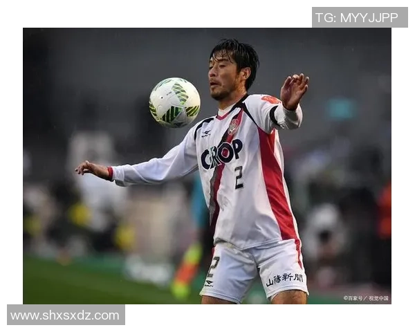 水户蜀葵迎战冈山绿雉竞彩002赛事分析与预测 水户蜀葵迎战冈山绿雉竞彩002赛事分析与预测