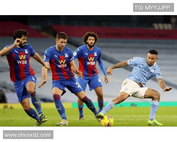 英超激战纽卡斯尔联对决水晶宫赛果揭晓精彩瞬间回顾